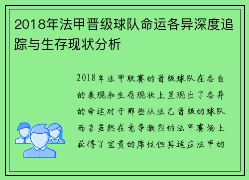 2018年法甲晋级球队命运各异深度追踪与生存现状分析