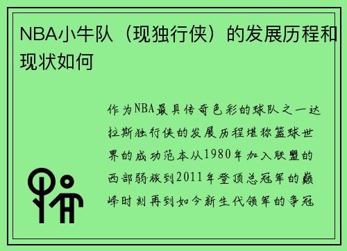 NBA小牛队（现独行侠）的发展历程和现状如何